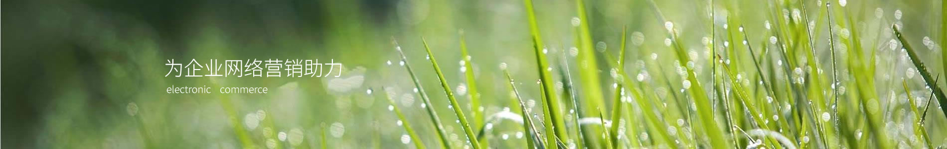 ݺ֯Ƽ޹˾
